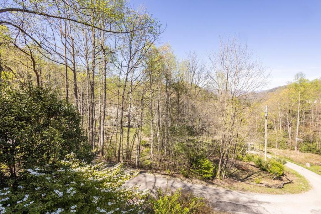 Family Cabin Near Smoky Mtn Entrance Nantahala Robbinsville Extérieur photo